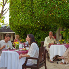 Gourmet Discovery Dining